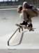 walterhallsk8rz11_small.jpg